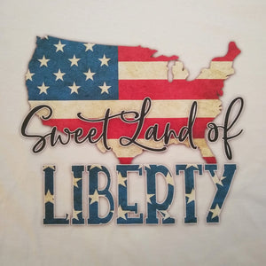 USA America Sweet Land of Liberty Graphic Printed T-Shirt