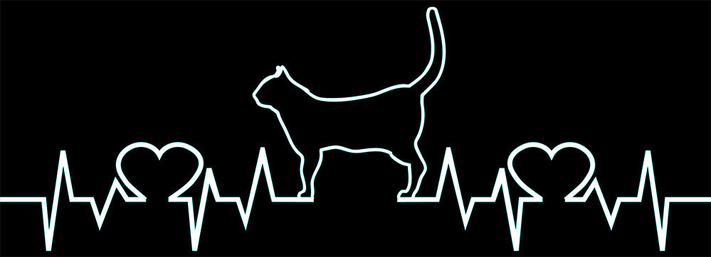 Cat Love Heartbeat Vinyl Decal Sticker for Cars, Windows, Signs, Etc.