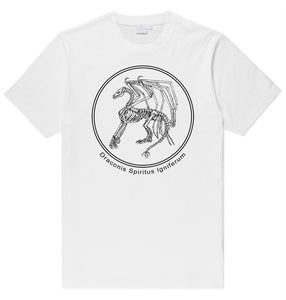 Adult Unisex Fire Breathing Dragon Skeleton 100% Cotton Printed T-shirt Latin